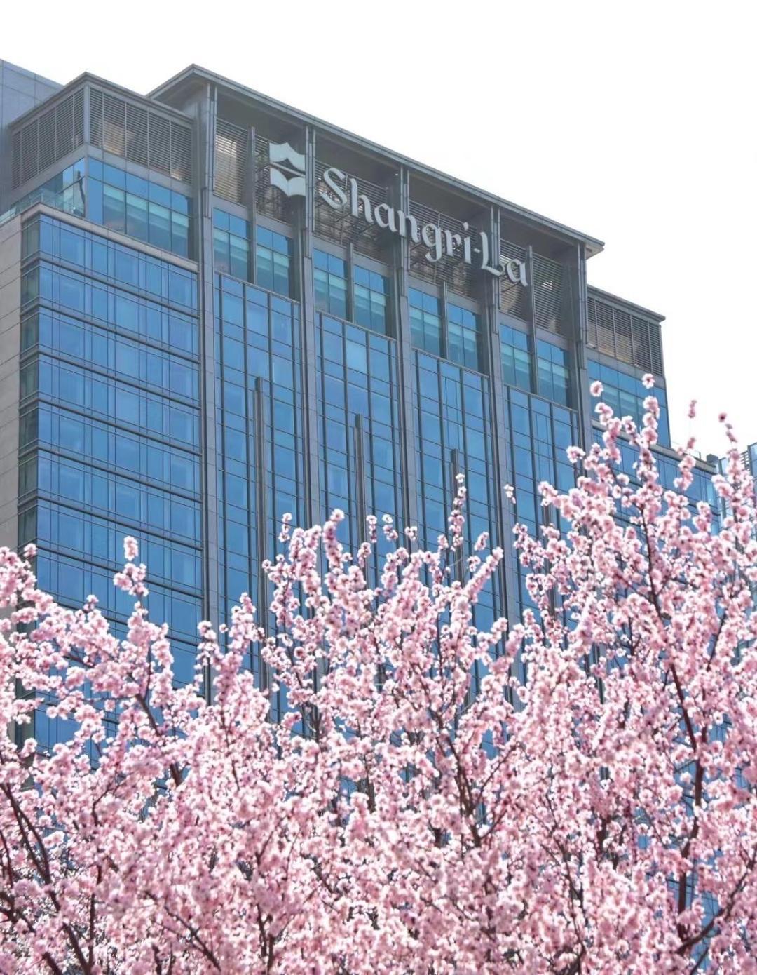 Shangri-La Shenyang Eksteriør billede